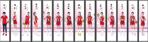 sdada_gaitubao_500x142.png