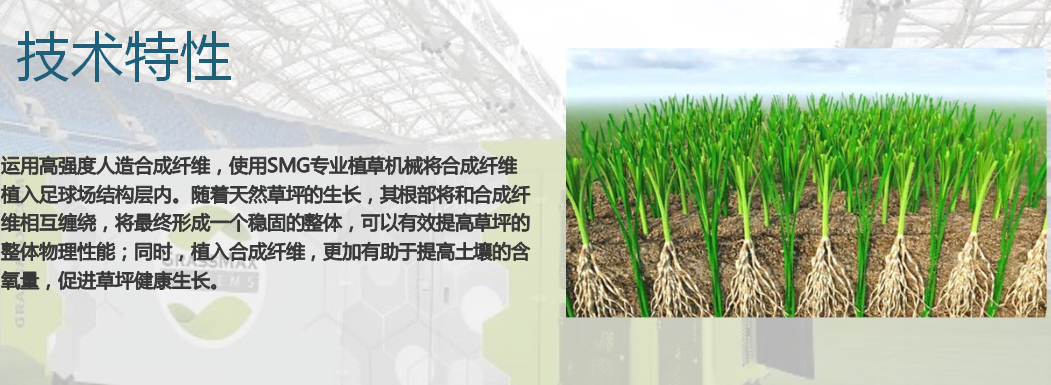 图片 20.png