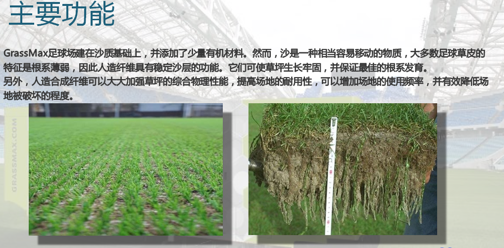 图片 23.png