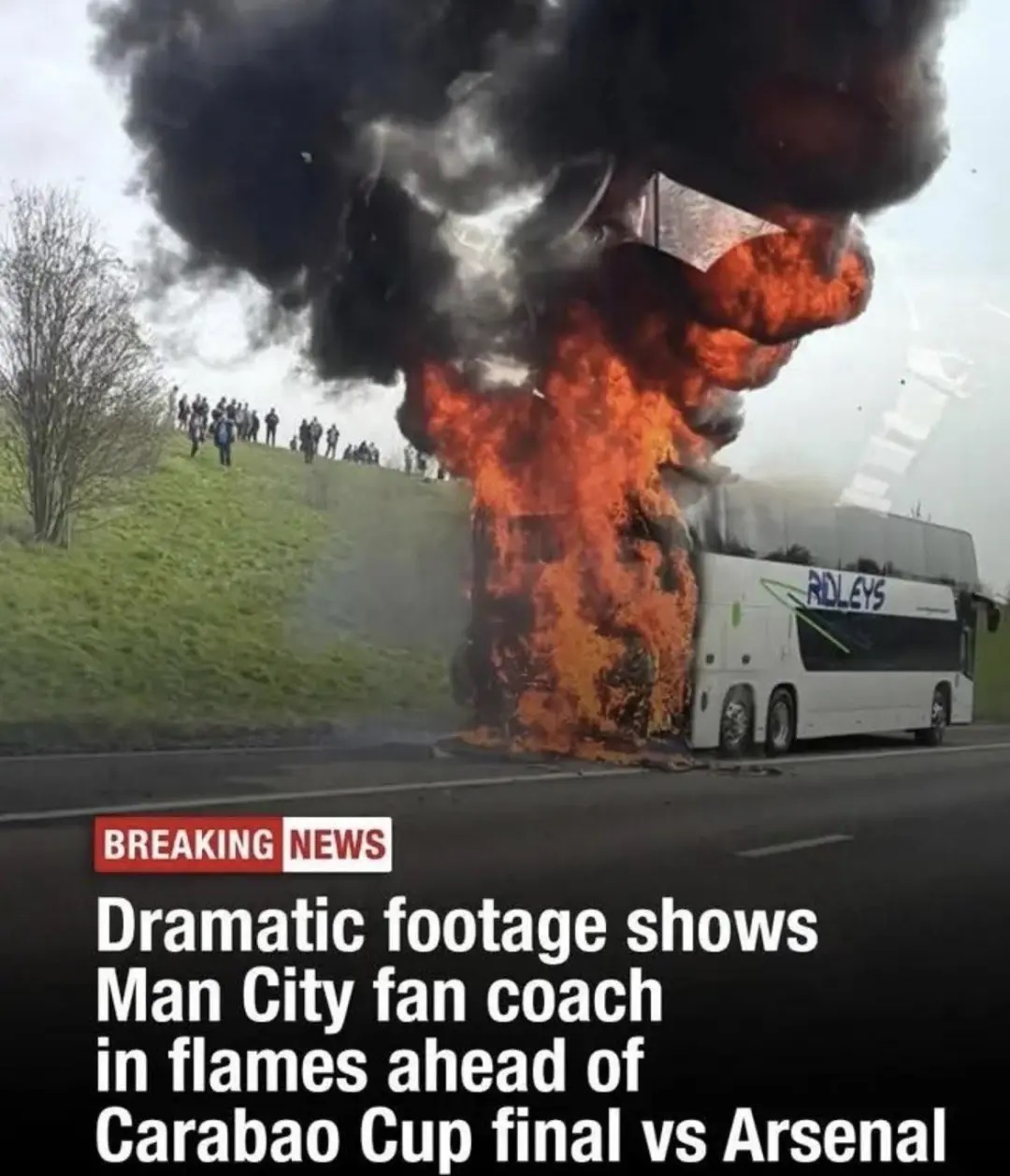 1774256332735227.jpg e132586a52400d697a04c3f7b41077a9-sz_151590.jpg